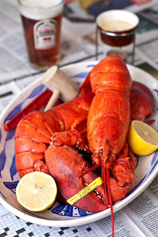 steamedlobster